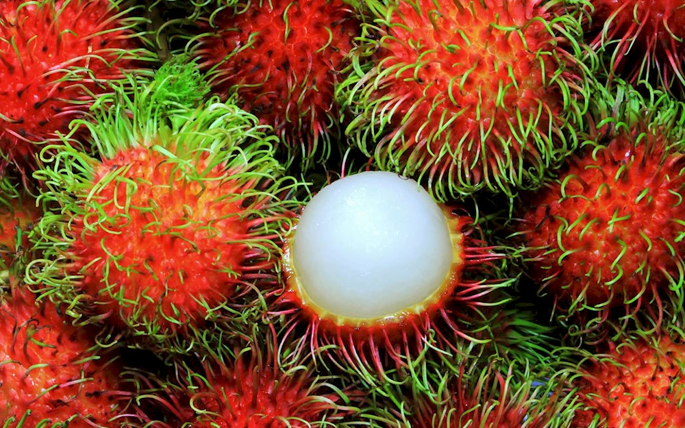 Rambutan may appear to be weird, but it is nutritious and rich in flavour